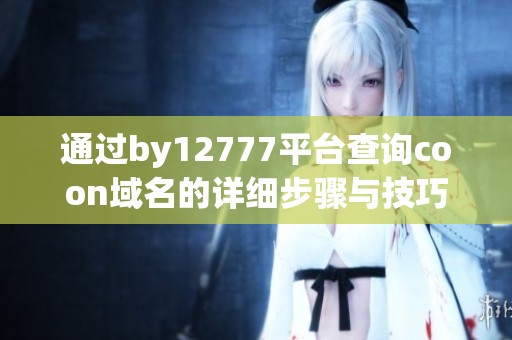 通过by12777平台查询coon域名的详细步骤与技巧