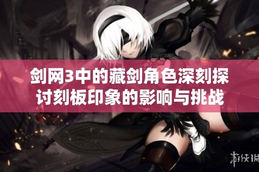 剑网3中的藏剑角色深刻探讨刻板印象的影响与挑战