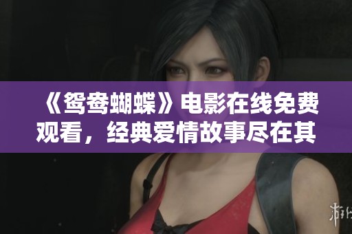 《鸳鸯蝴蝶》电影在线免费观看，经典爱情故事尽在其中