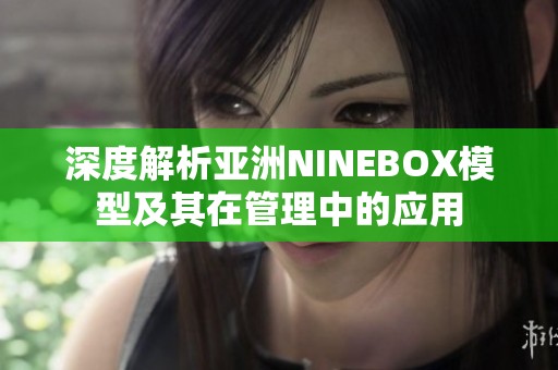 深度解析亚洲NINEBOX模型及其在管理中的应用