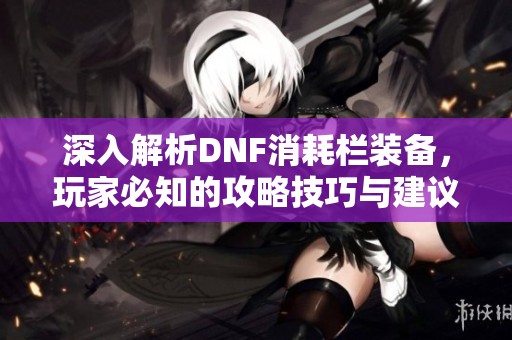 深入解析DNF消耗栏装备，玩家必知的攻略技巧与建议