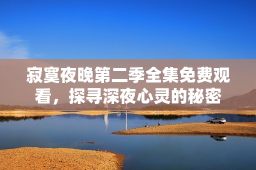 寂寞夜晚第二季全集免费观看，探寻深夜心灵的秘密