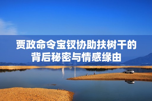 贾政命令宝钗协助扶树干的背后秘密与情感缘由