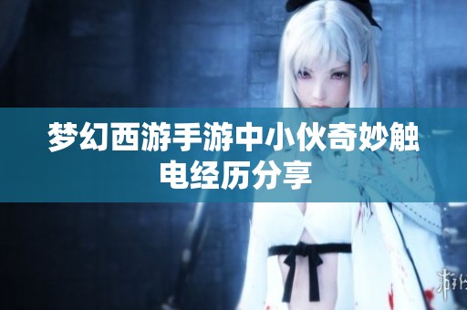 梦幻西游手游中小伙奇妙触电经历分享
