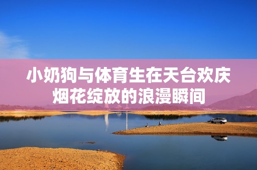 小奶狗与体育生在天台欢庆烟花绽放的浪漫瞬间