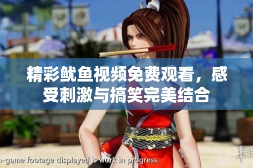 精彩鱿鱼视频免费观看，感受刺激与搞笑完美结合
