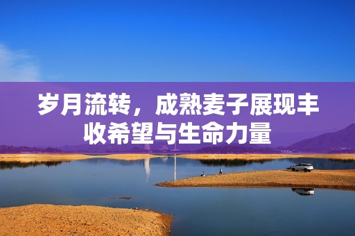 岁月流转，成熟麦子展现丰收希望与生命力量