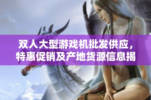 双人大型游戏机批发供应，特惠促销及产地货源信息揭秘