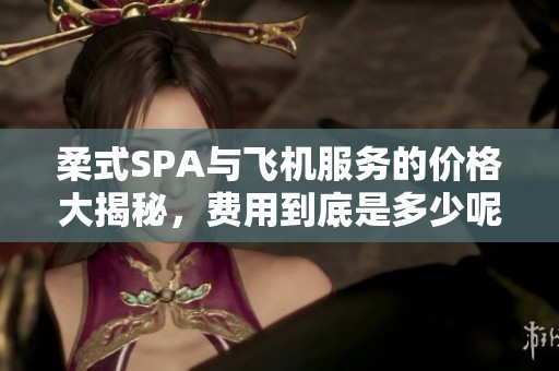 柔式SPA与飞机服务的价格大揭秘，费用到底是多少呢？