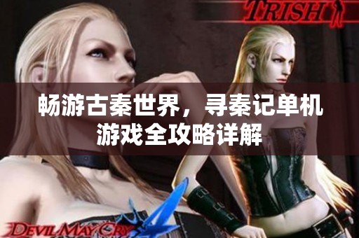 畅游古秦世界，寻秦记单机游戏全攻略详解