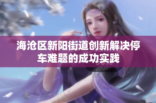 海沧区新阳街道创新解决停车难题的成功实践