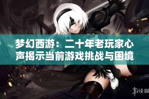 梦幻西游：二十年老玩家心声揭示当前游戏挑战与困境