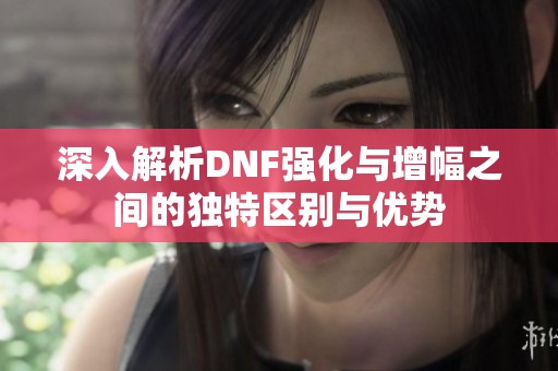 深入解析DNF强化与增幅之间的独特区别与优势