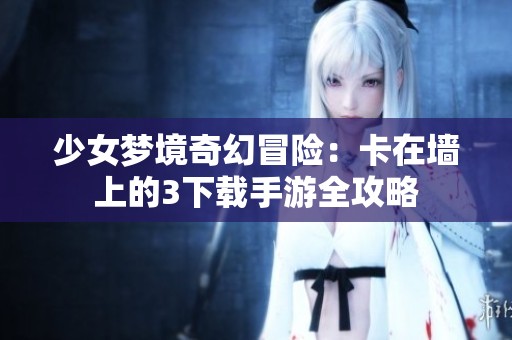 少女梦境奇幻冒险：卡在墙上的3下载手游全攻略