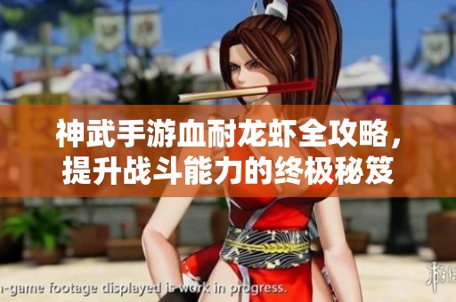 神武手游血耐龙虾全攻略，提升战斗能力的终极秘笈