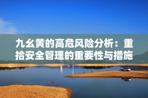 九幺黄的高危风险分析：重拾安全管理的重要性与措施