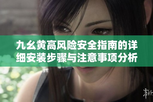九幺黄高风险安全指南的详细安装步骤与注意事项分析