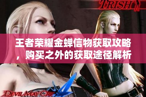 王者荣耀金蝉信物获取攻略，购买之外的获取途径解析