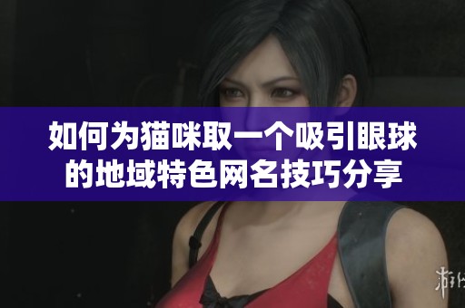 如何为猫咪取一个吸引眼球的地域特色网名技巧分享