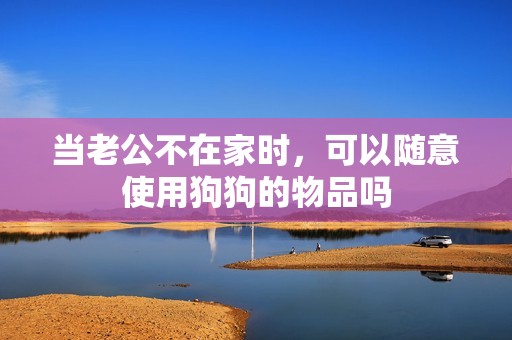 当老公不在家时，可以随意使用狗狗的物品吗