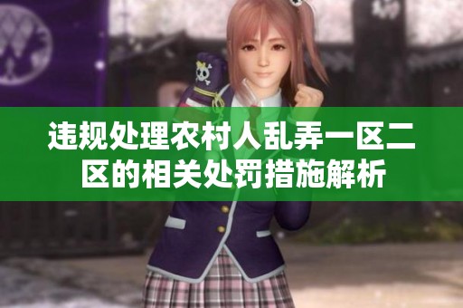 违规处理农村人乱弄一区二区的相关处罚措施解析