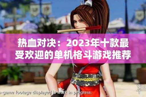 热血对决：2023年十款最受欢迎的单机格斗游戏推荐