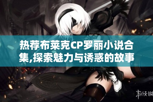 热荐布莱克CP罗丽小说合集,探索魅力与诱惑的故事之旅