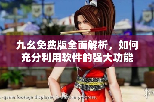 九幺免费版全面解析，如何充分利用软件的强大功能
