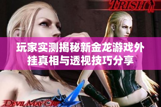 玩家实测揭秘新金龙游戏外挂真相与透视技巧分享