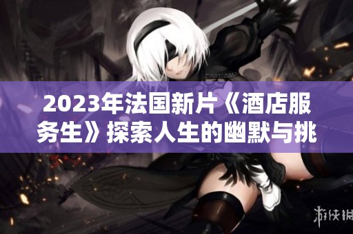 2023年法国新片《酒店服务生》探索人生的幽默与挑战