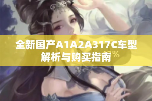全新国产A1A2A317C车型解析与购买指南