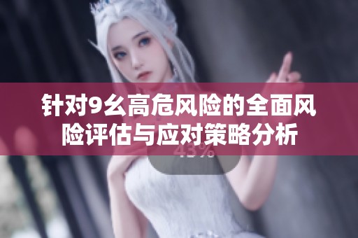 针对9幺高危风险的全面风险评估与应对策略分析