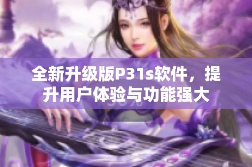 全新升级版P31s软件，提升用户体验与功能强大