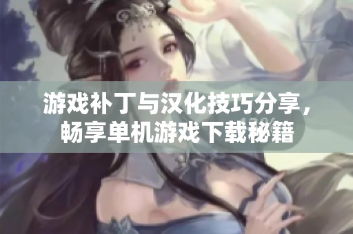 游戏补丁与汉化技巧分享，畅享单机游戏下载秘籍