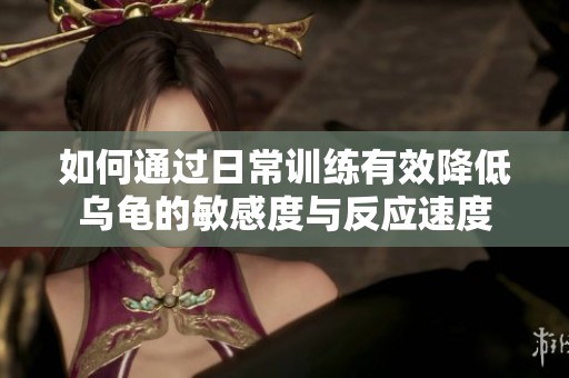 如何通过日常训练有效降低乌龟的敏感度与反应速度