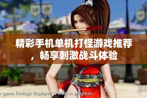精彩手机单机打怪游戏推荐，畅享刺激战斗体验