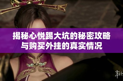 揭秘心悦踢大坑的秘密攻略与购买外挂的真实情况