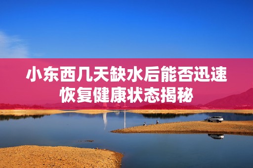 小东西几天缺水后能否迅速恢复健康状态揭秘