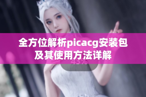 全方位解析picacg安装包及其使用方法详解