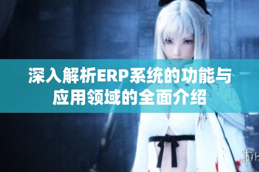 深入解析ERP系统的功能与应用领域的全面介绍
