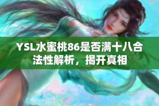 YSL水蜜桃86是否满十八合法性解析，揭开真相