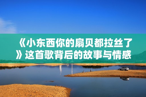 《小东西你的扇贝都拉丝了》这首歌背后的故事与情感解析