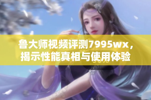 鲁大师视频评测7995wx，揭示性能真相与使用体验