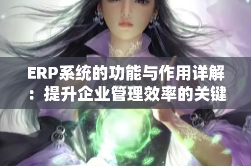 ERP系统的功能与作用详解：提升企业管理效率的关键工具