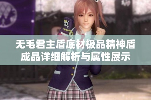 无毛君主盾底材极品精神盾成品详细解析与属性展示