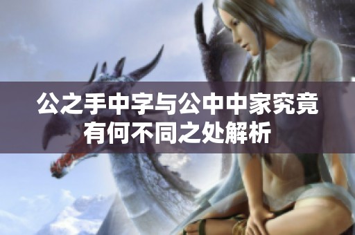 公之手中字与公中中家究竟有何不同之处解析