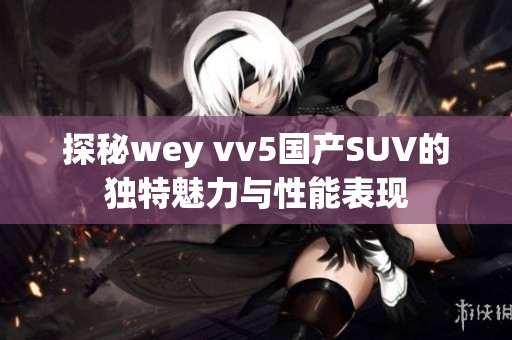 探秘wey vv5国产SUV的独特魅力与性能表现