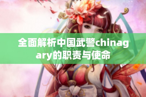 全面解析中国武警chinagary的职责与使命
