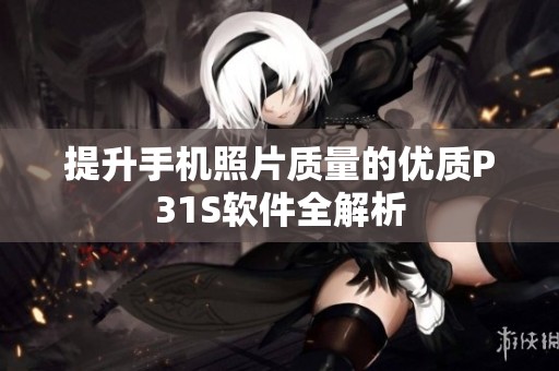 提升手机照片质量的优质P31S软件全解析
