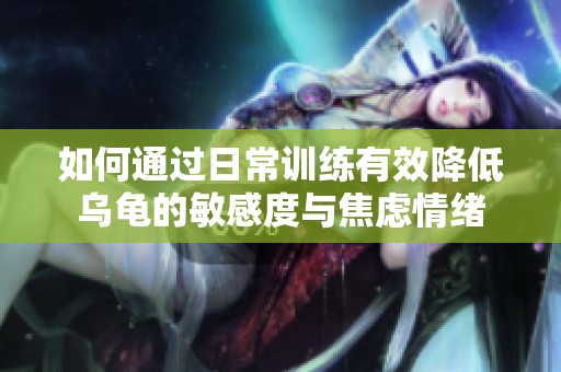 如何通过日常训练有效降低乌龟的敏感度与焦虑情绪